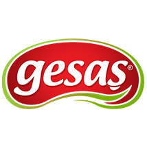 Gesaş A.Ş.